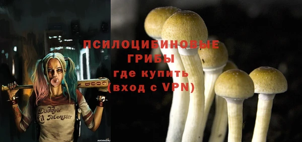 бутират Арсеньев
