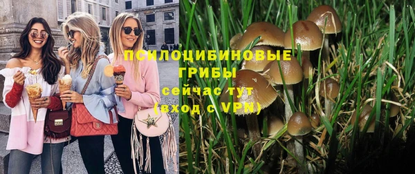 герыч Аркадак