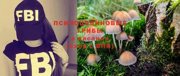 бутират Арсеньев