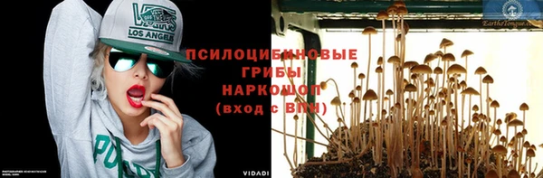 бошки Армянск