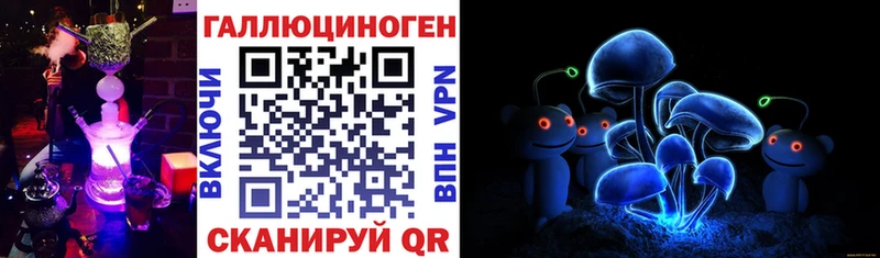 MEGA рабочий сайт  Темников  Псилоцибиновые грибы GOLDEN TEACHER 